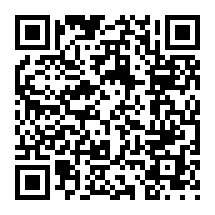 重庆软件外包特色专业 微信