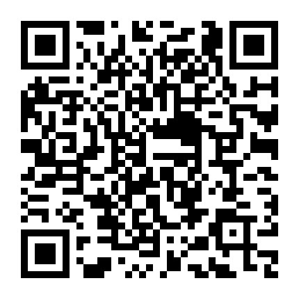 庞大名人汽车 微信