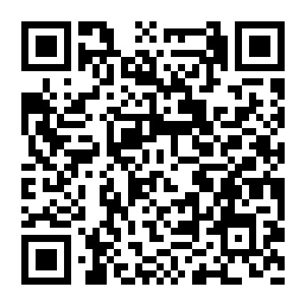 面包树上的女人 微信