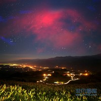 奇幻星空下长颈鹿高大身影高清图片下载