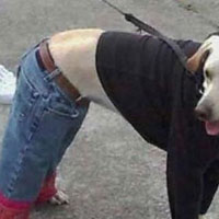 搞笑头像图片,幽默,动物,爆笑,恶心,整人等笑死人的搞笑头像