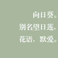 经典文字头像,微信唯美经典文字头像,微信文字控头