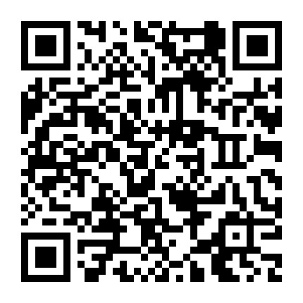 三分钟懒人扎发微信