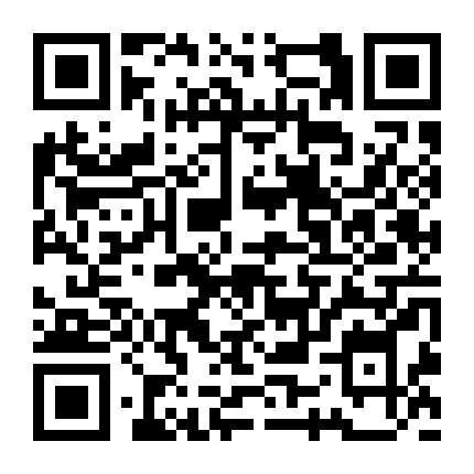 懒人扎发手册微信