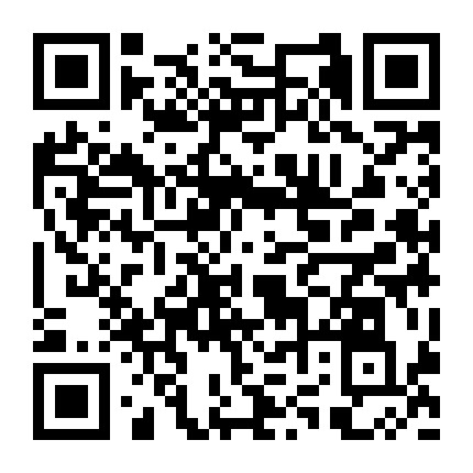 教你绑头发扎辫子微信