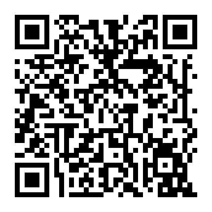 学DIY扎头发微信