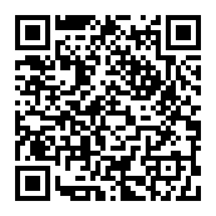 最爱盘头发微信