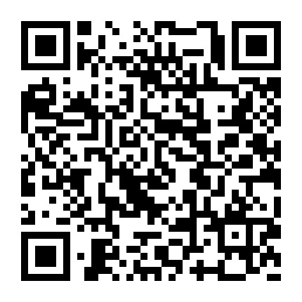 五妹腊肉家常粽微信