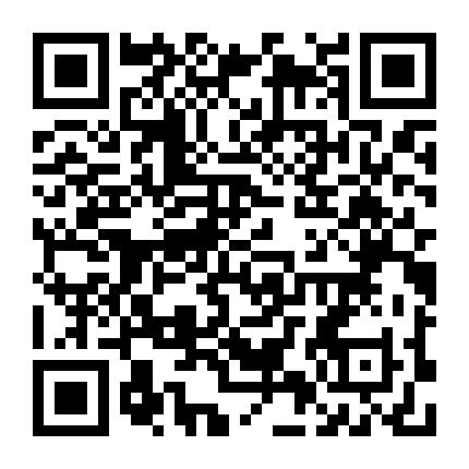 上海夜生活龙微信