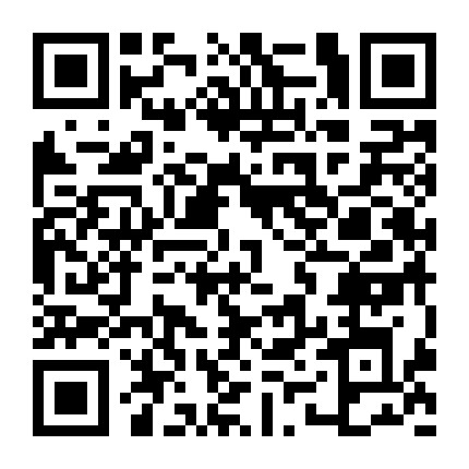 小祝婚庆道具微信