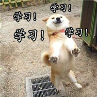 搞笑逗比柴犬之我爱学习柴犬搞笑带字表情包腾牛