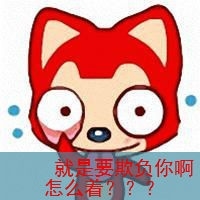恶搞带字的阿狸微信头像,爱生活爱美女