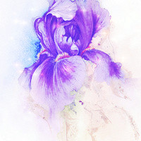 紫色唯美意境头像图片,让我们的爱更加浪漫