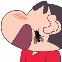 强迫症蚊子