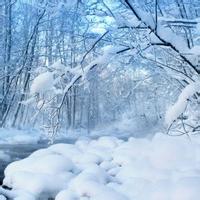 白雪皑皑风景微信头像