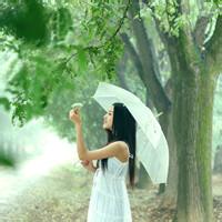 小清新花儿头像