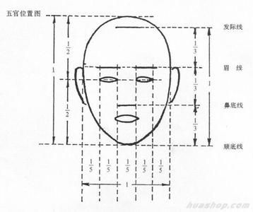 素描头像长宽比例