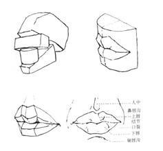 素描头像嘴的画法