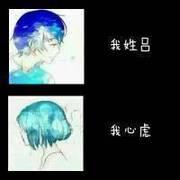 我姓杨文字头像