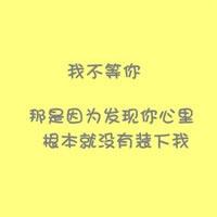 我不爱你了的文字头像